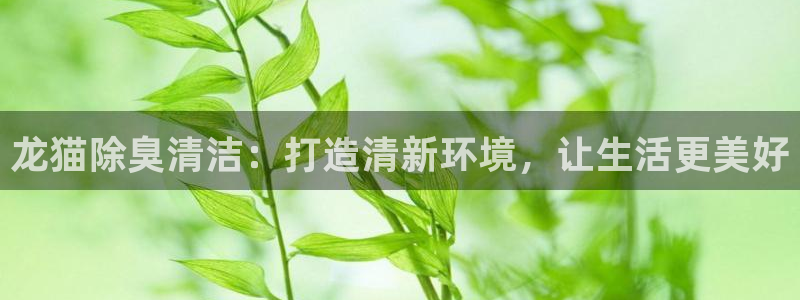 下载凯时AG旗舰厅首页：龙猫除臭清洁：打造清新环境，让生