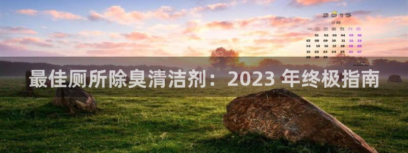 尊龙凯时下载链接：最佳厕所除臭清洁剂：2023 年终极指