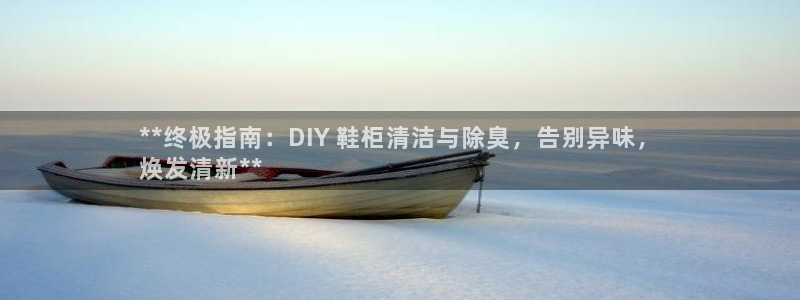 下载尊龙app：**终极指南：DIY 鞋柜清洁与除臭，告