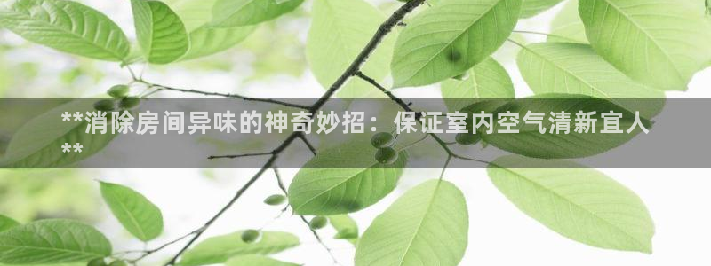 尊龙凯时网站首页手机登录：**消除房间异味的神奇妙招：保