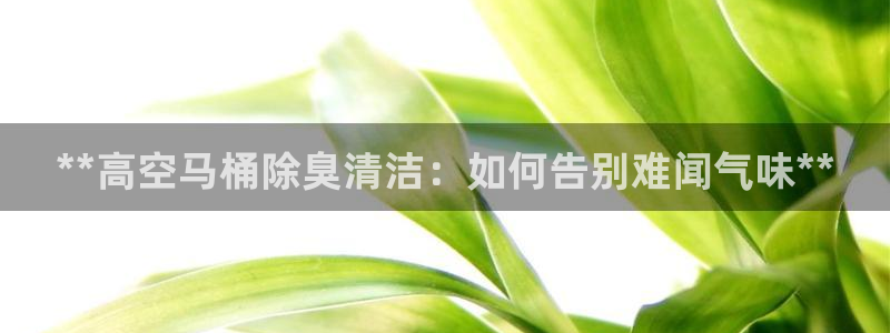 凯时国际app首页登录入口