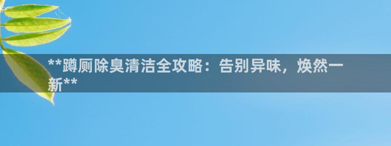 尊龙怎么没消息了：**蹲厕除臭清洁全攻略：告别异味，焕然