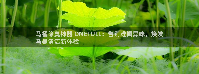 尊龙d88手机app免费下载：马桶除臭神器 ONEFUL