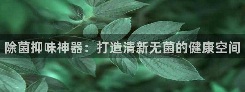 尊龙凯时城娱乐：除菌抑味神器：打造清新无菌的健康空间